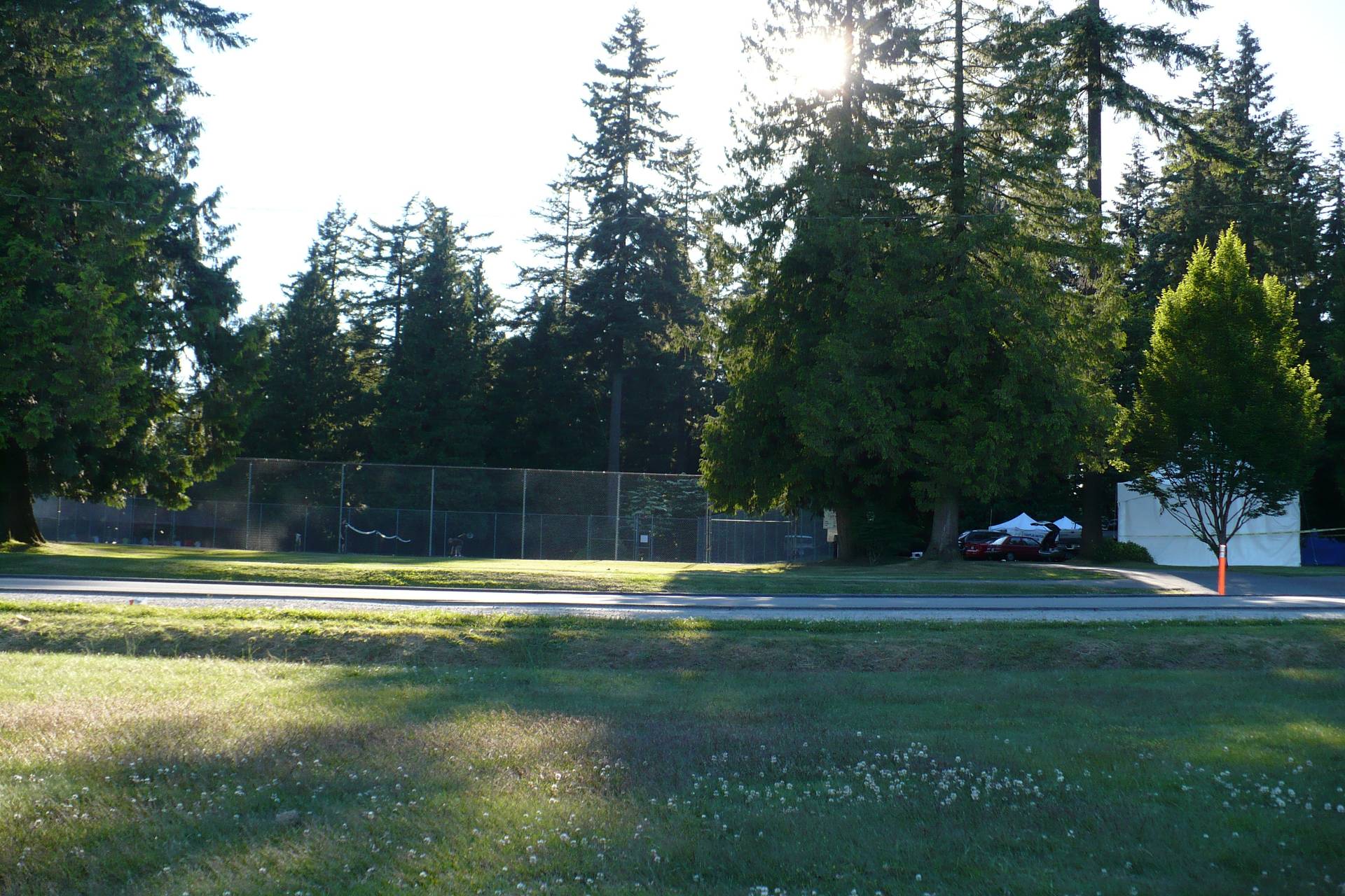 Lawn and tall conifers at Blue Mountain Park, Coquitlam