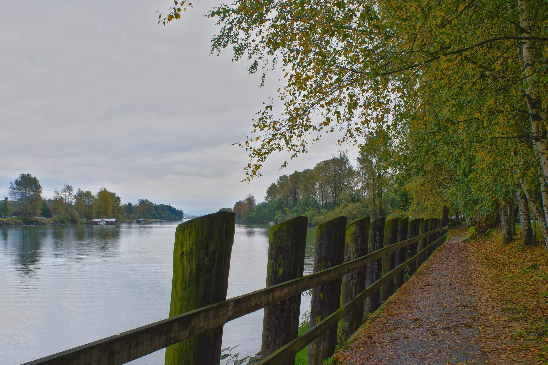 Autumn walking path along the Bedford Channel in Fort Langley