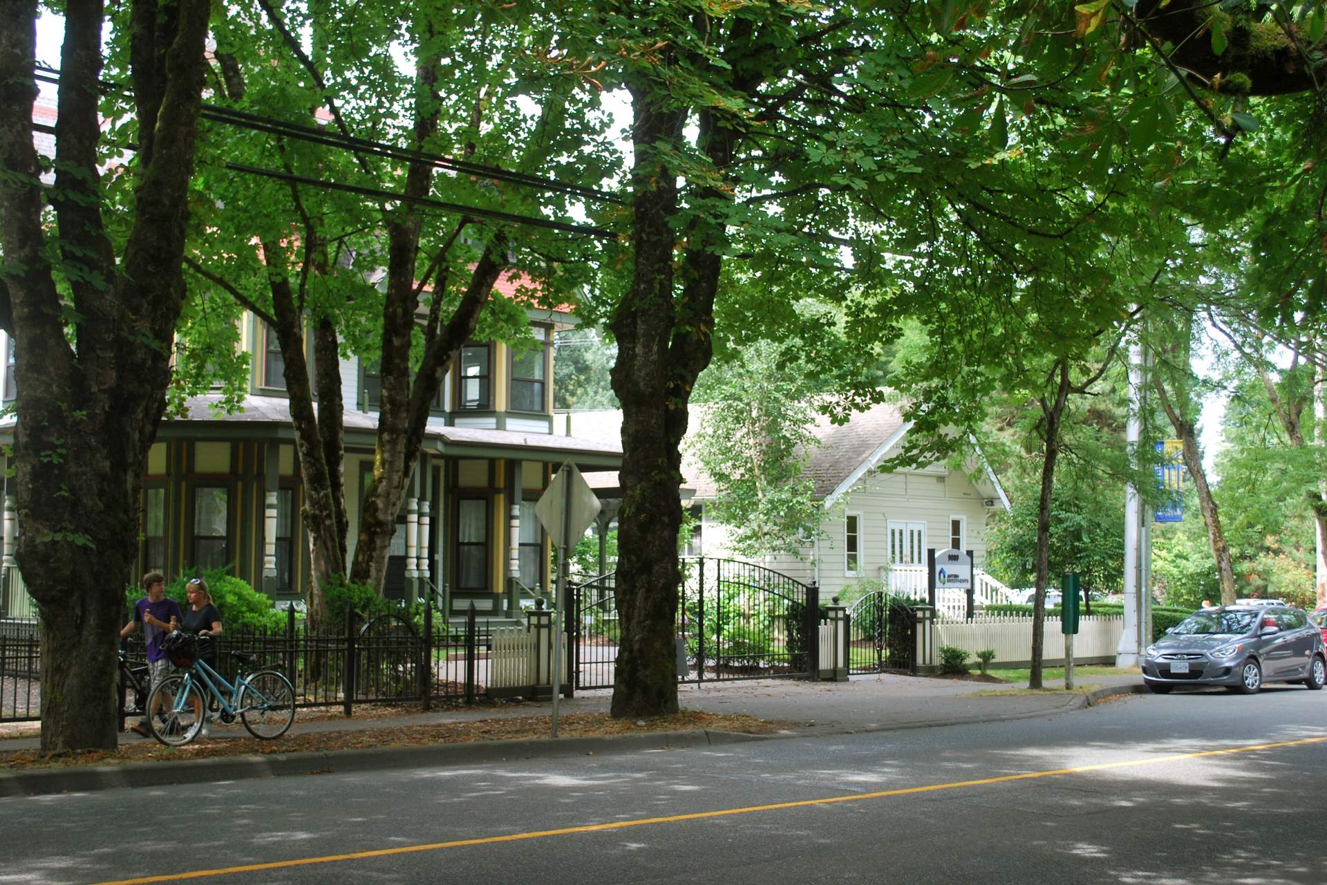 Horse chestnut trees along Glover Road in the village of Fort Langley