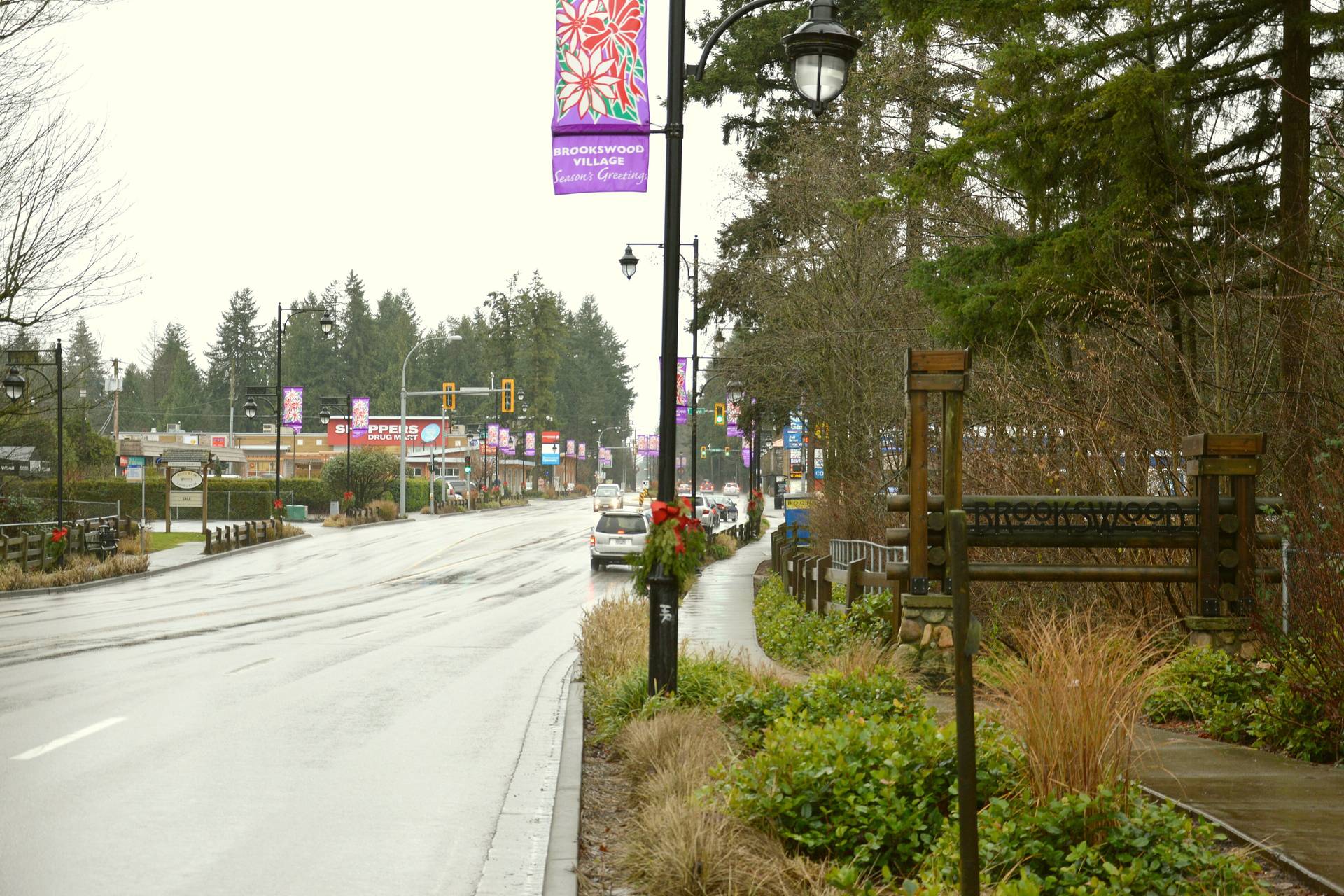 Tree-lined 200 Street through Brookswood village in Langley