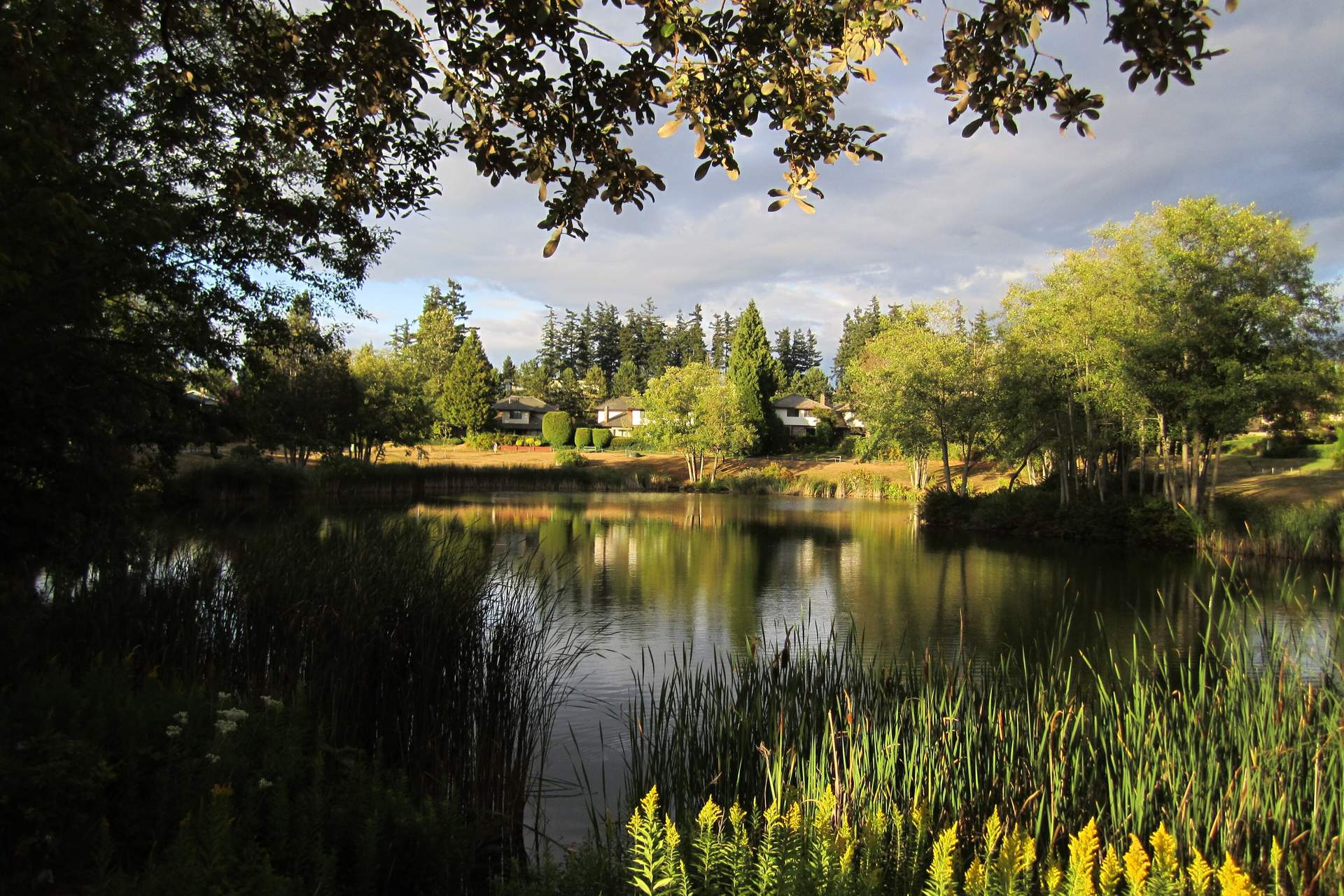 The Duck Ponds park near South Surrey town centre