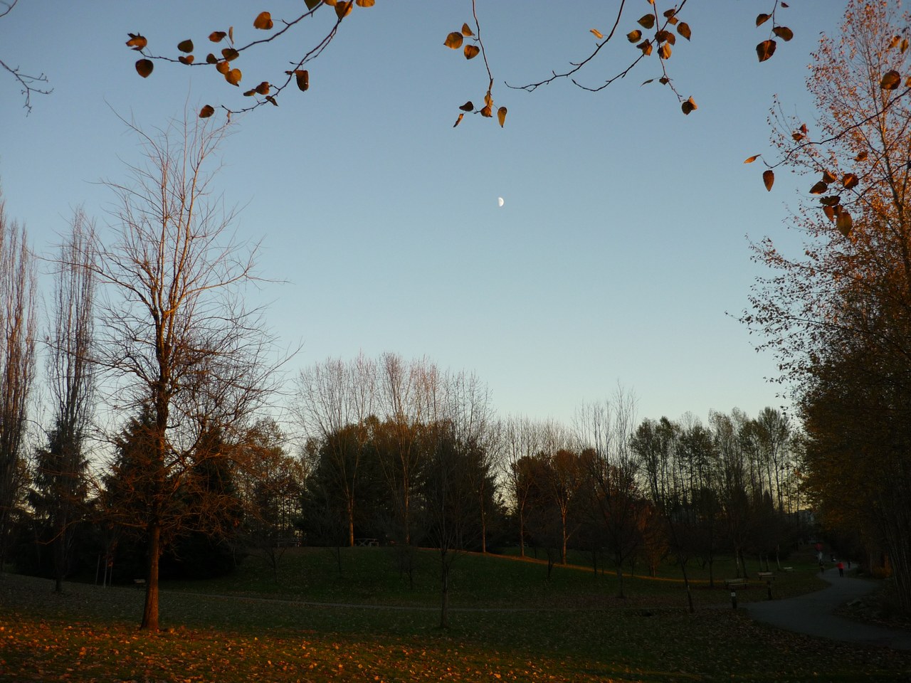 Town Centre Park in Coquitlam, British Columbia
